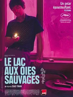 poster film Le Lac aux oies sauvages