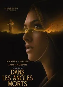 poster film Dans les angles morts