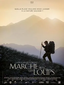 poster film Marche avec les loups
