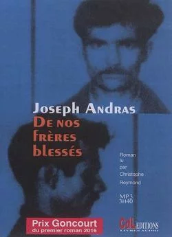 poster film De nos fraprèsres blessés