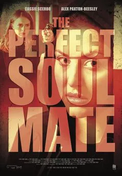 Affiche du film The Perfect Soulmate en streaming