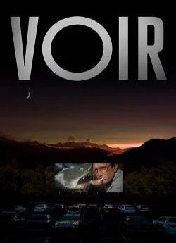 affiche série Voir - Saison 1